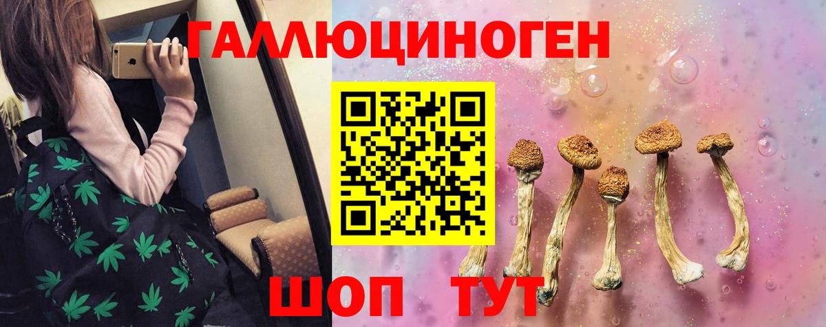 Сатка  Псилоцибиновые грибы Psilocybine cubensis  Вход с VPN  Галлюциногенные грибы ЛСД 