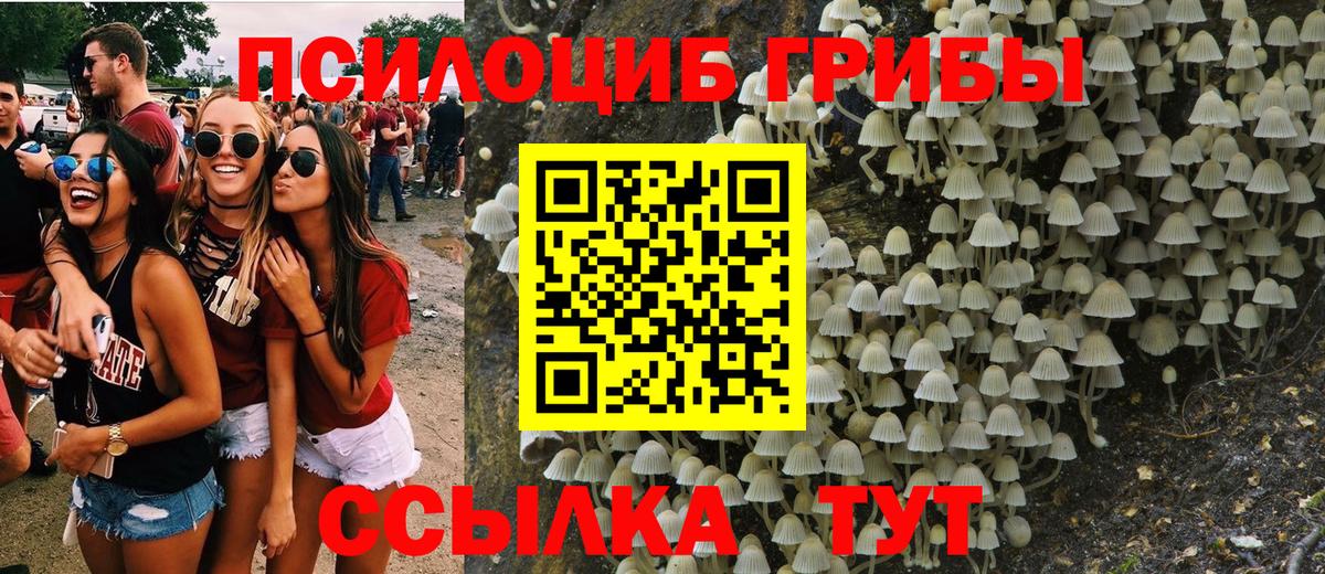 Галлюциногенные грибы ЛСД Сатка